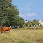 דירה Spree - Adults Only *