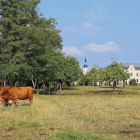 Διαμέρισμα Spree - Adults Only *