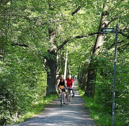 Spree - Adults Only لوبنو