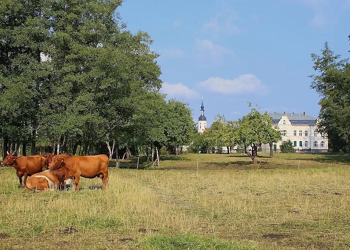 شقة Spree - Adults Only *