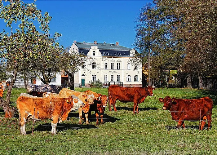 شقة Spree - Adults Only